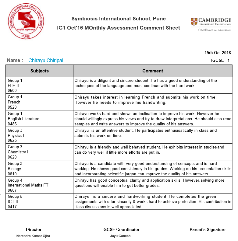 monthly assessment comment sheet